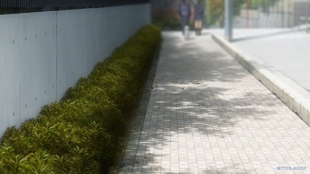 Cherry blossom slope on the way to school